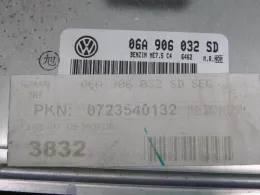 06A906032SDSEG блок керування двигуном до Volkswagen New, beetle