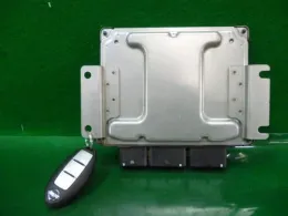 NEC009666 блок управления двигателем Nissan