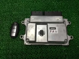 1149001231 блок керування двигуном до Nissan