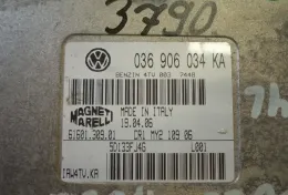 036906034KA блок управления ECU Volkswagen Polo IV 9N3 2007