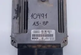 E2A1338 блок управления ecu Audi A3 S3 8P 2000