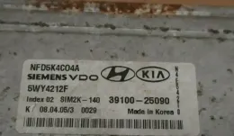 3910025090 блок управления двигателем Hyundai Sonata 2006