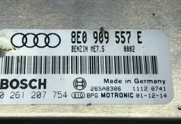 8E0920950G блок управління двигуна з ключем, комплект Audi A4 S4 B6 8E 8H 2002